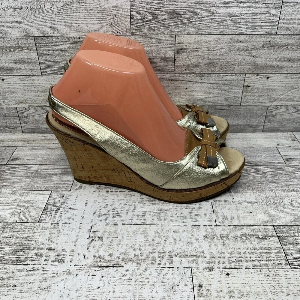 Sperry elevate your